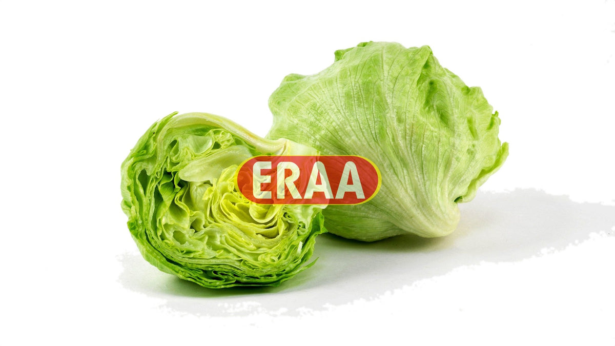 Iceberg Lettuce (Each)