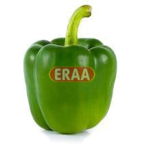 Green Pepper 2lb