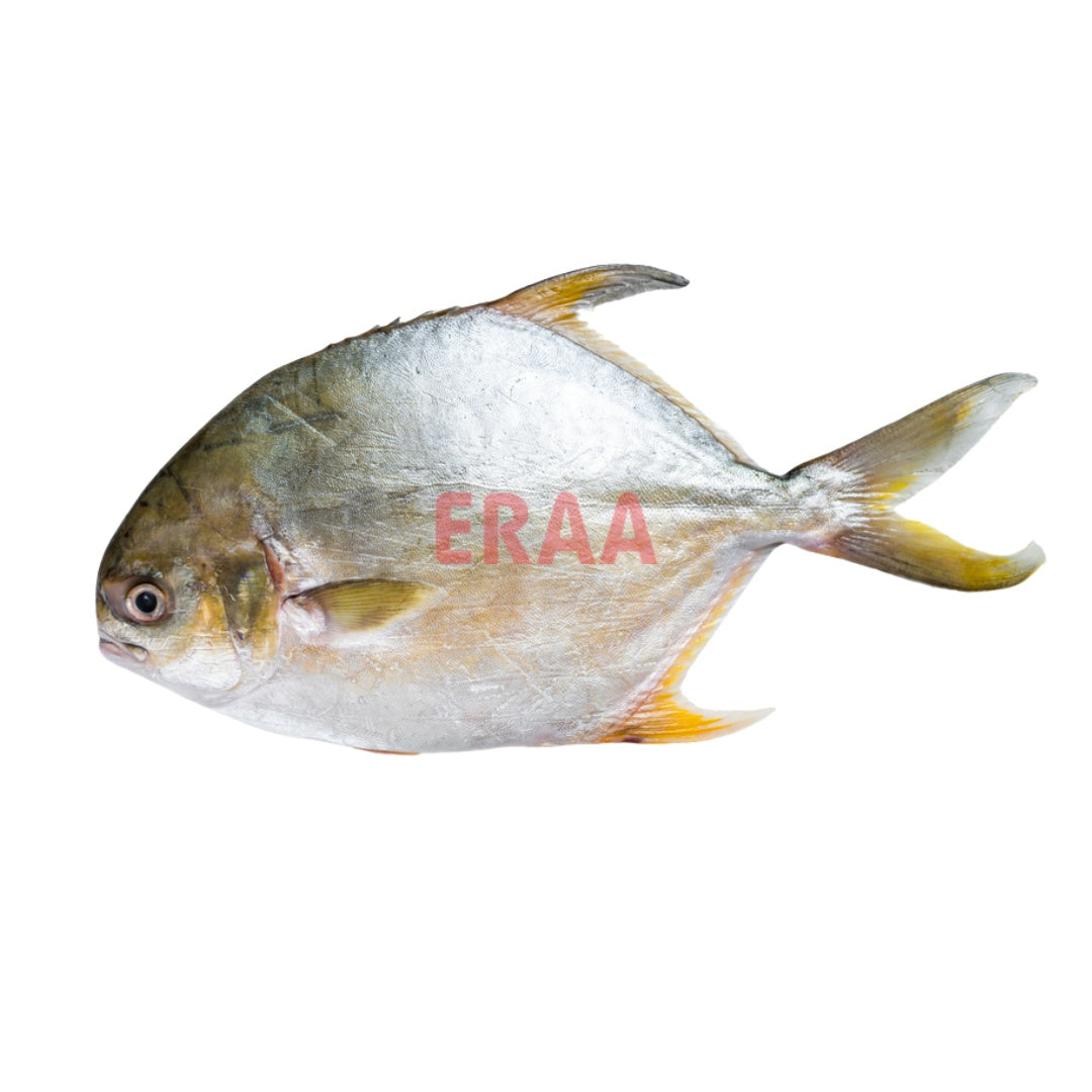 Pompano (3lb)