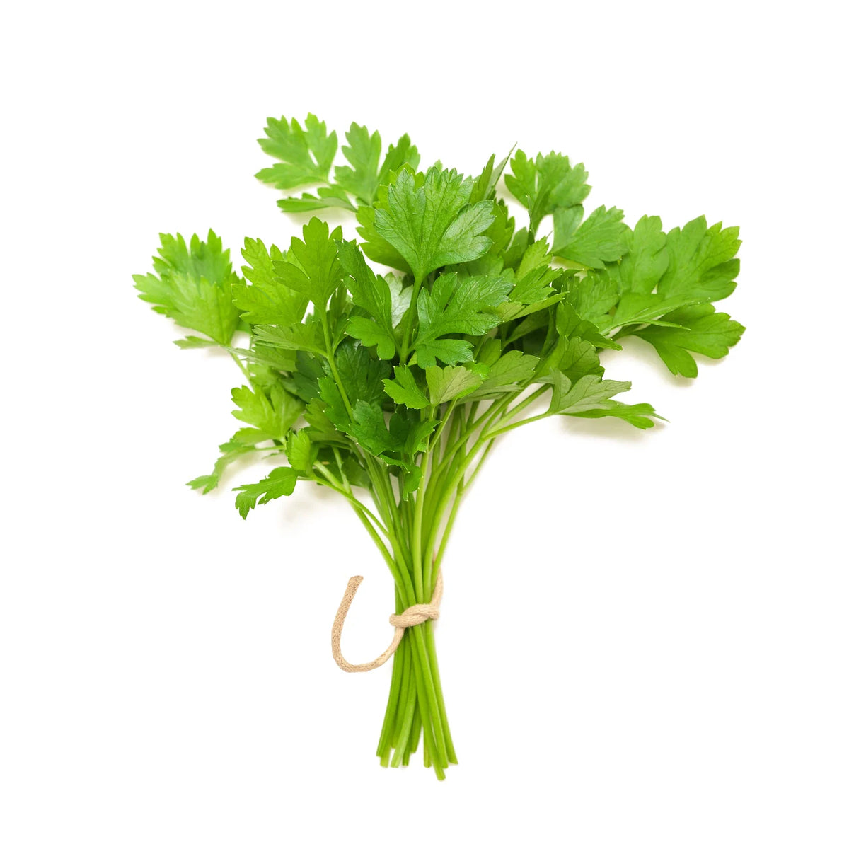 Coriander Leaf (Each)